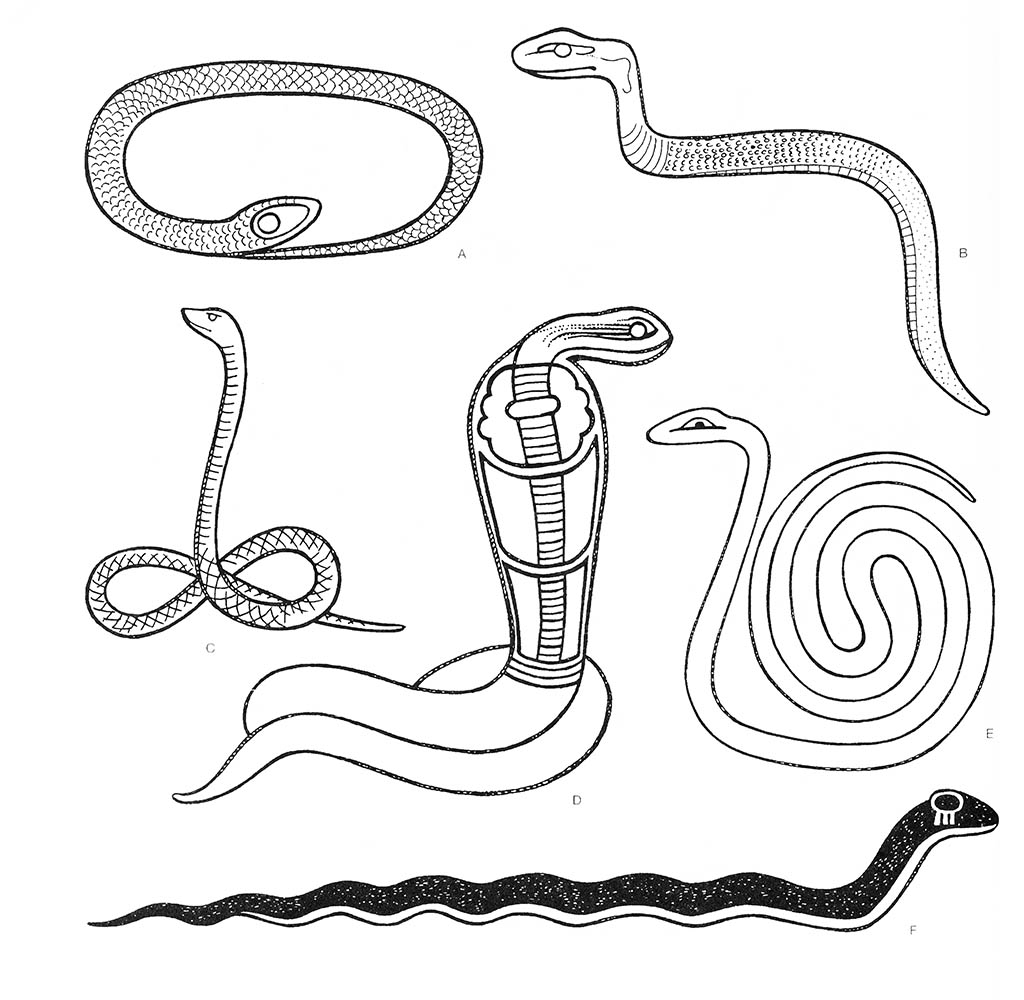 abcdef — змея, abf — кобра, acde — кобра египетская (свернувшаяся в спираль), bf — кобра египетская / Египет